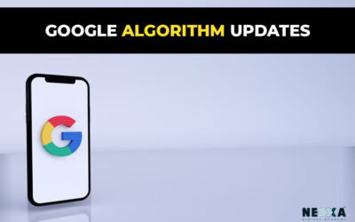 Google Algorithm updates in June- July 2021
