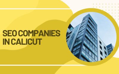TOP 7 SEO COMPANIES IN CALICUT