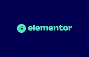 elementor tool